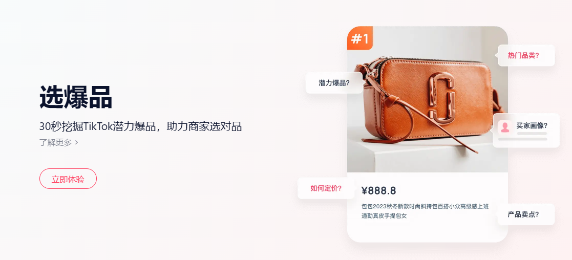 网站截图